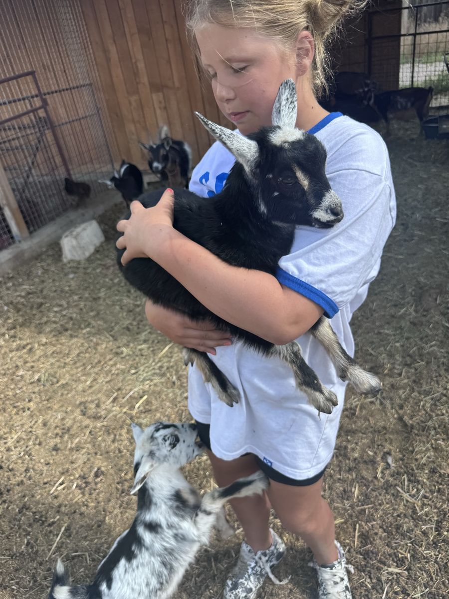 Main image 7