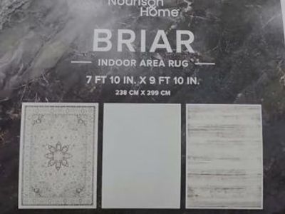 Nourison Home Briar 7'10" x 9'10" Area Rug 1959124 #106220