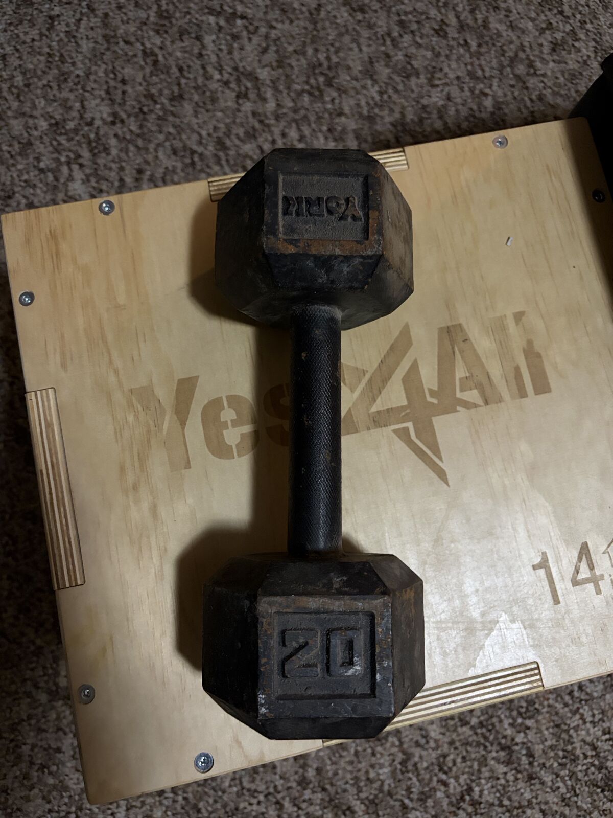 20 LB. Metal Dumbbell