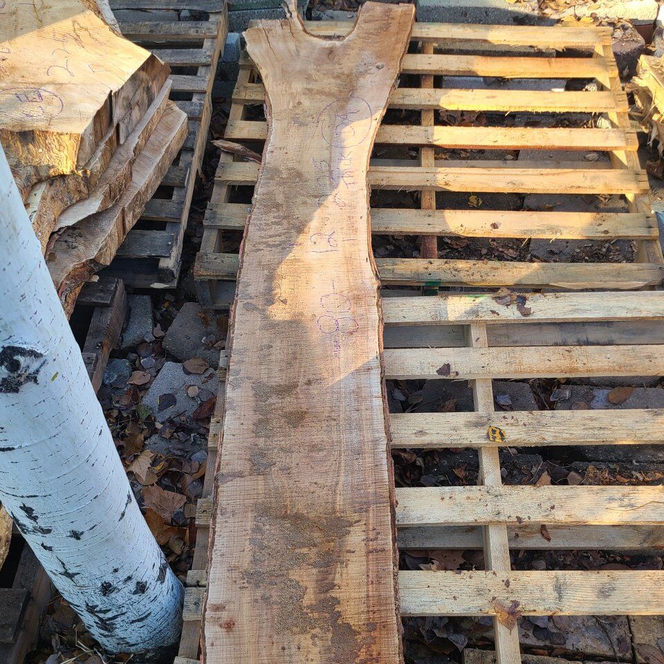 Silver Maple Slabs, Pile 7-DA-DD, $10 board foot
