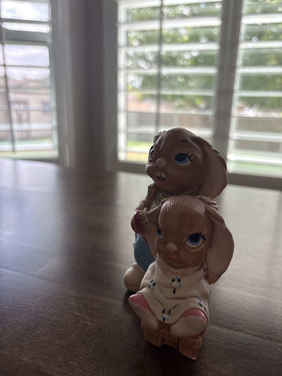 Cute bunny collectible