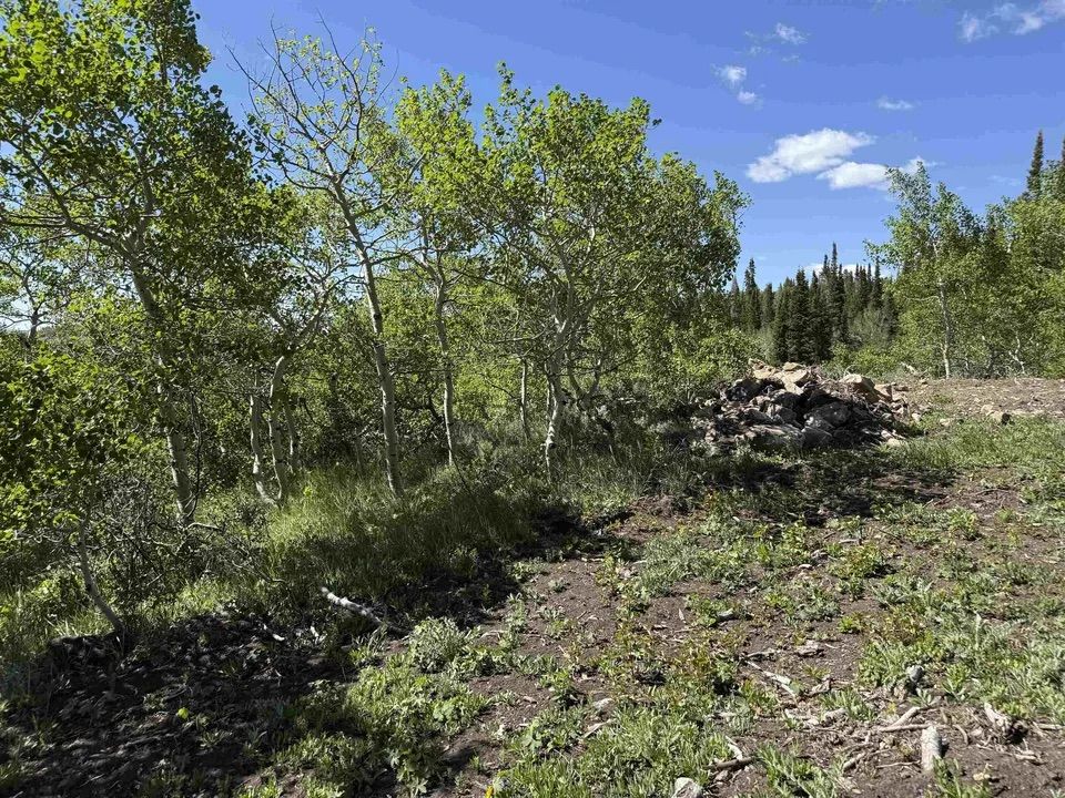 Main image 13