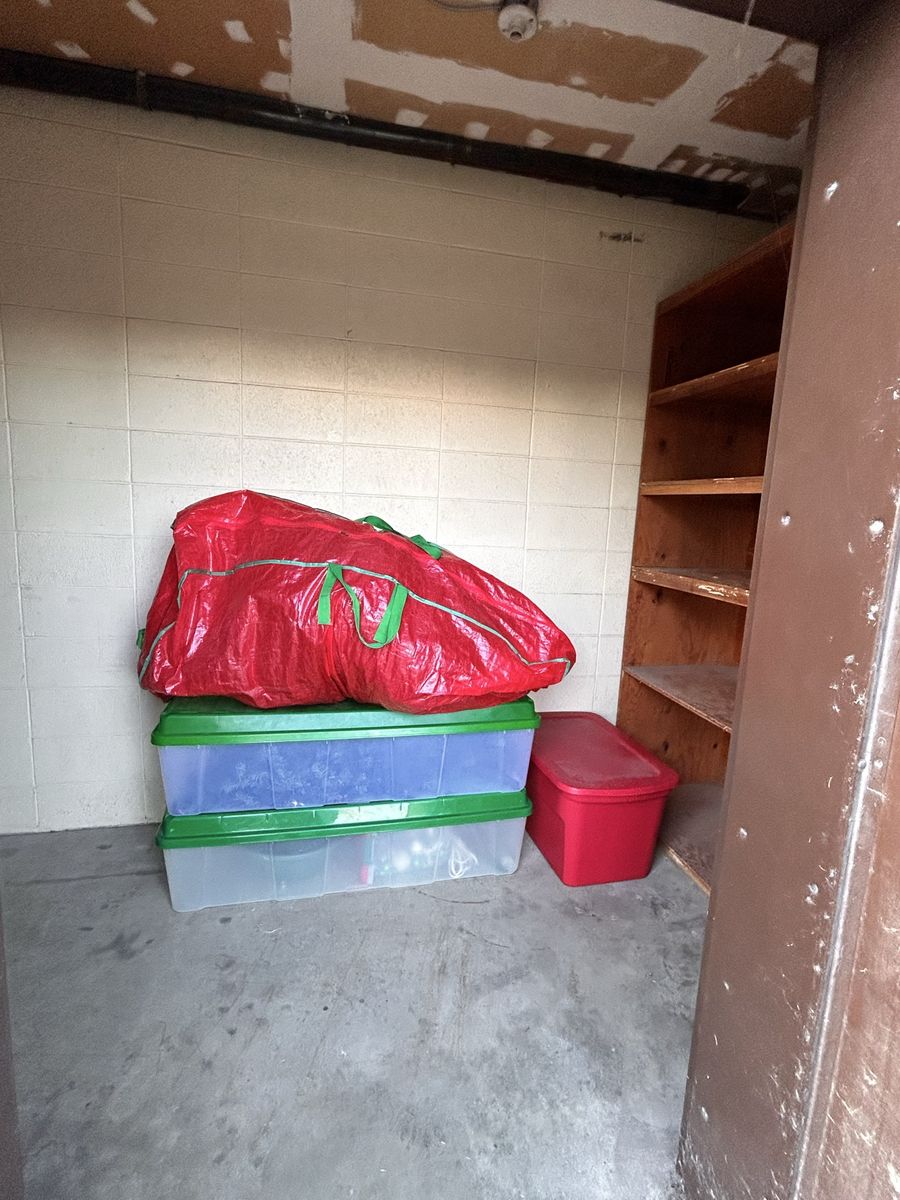 Christmas tree free