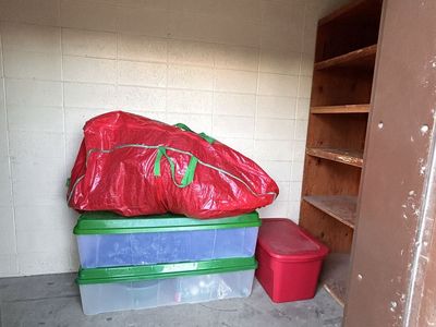 Christmas tree free