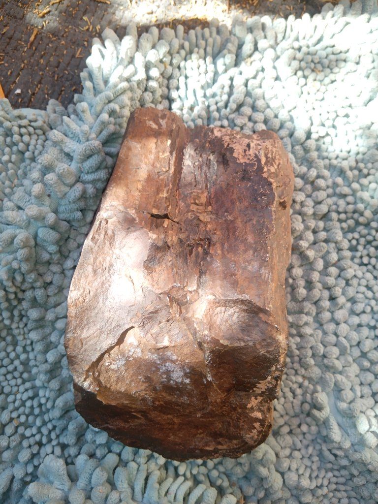 Main image 4