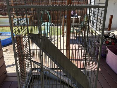 California Cage parrot cage