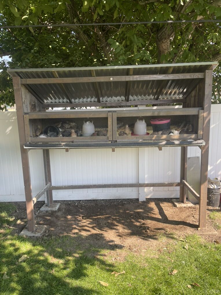 Quail Hutch/ Rabbit Hutch