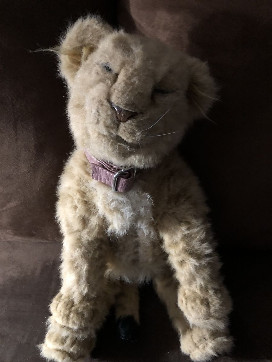 Wo Wee Lion Cub