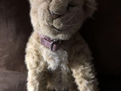 Wo Wee Lion Cub