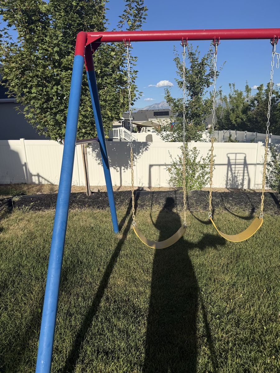 Lifetime Primary Colors Monkey Bar Adventure Swing Set 