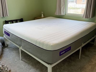 Purple Premier 4 King Mattress