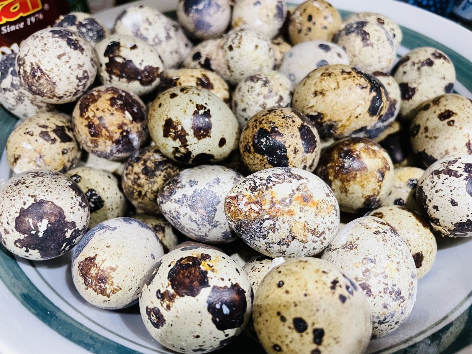 Fertilized Quail Eggs
