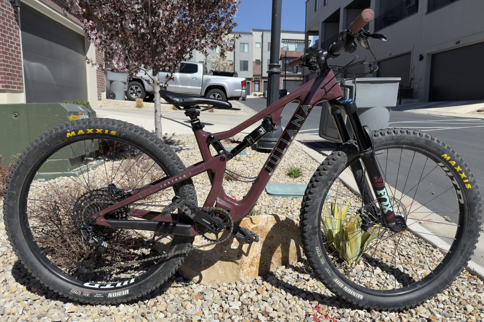 2019 Juliana Furtado