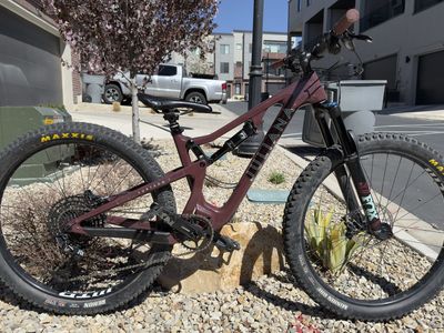 2019 Juliana Furtado