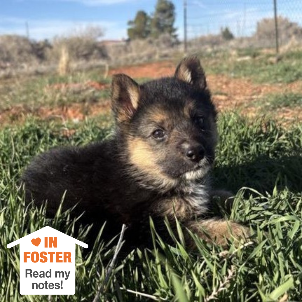 Hello my name is Iina