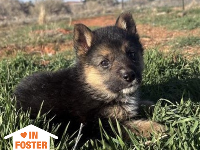 Hello my name is Iina