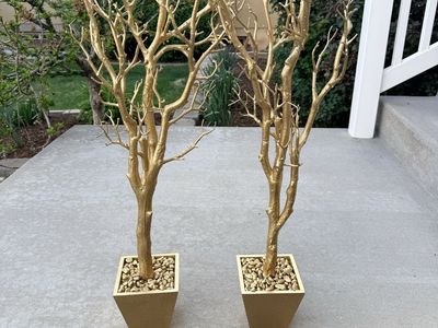 Two gold trees decor