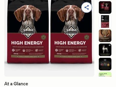 dog food (cane corso)