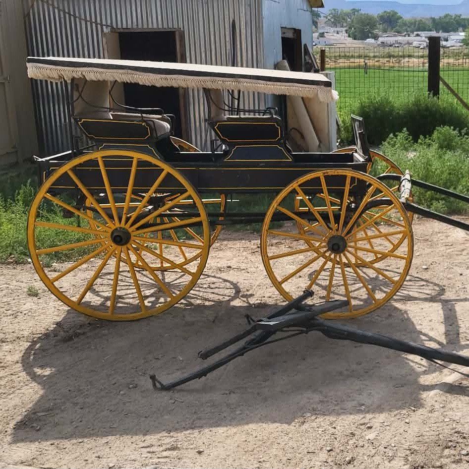 Horse Drawn Carriage