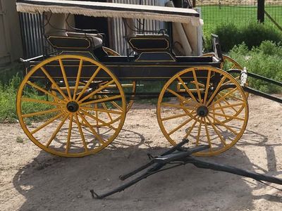 Horse Drawn Carriage