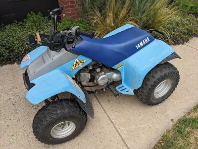 1989 Yamaha Champ YFM100 - Badger