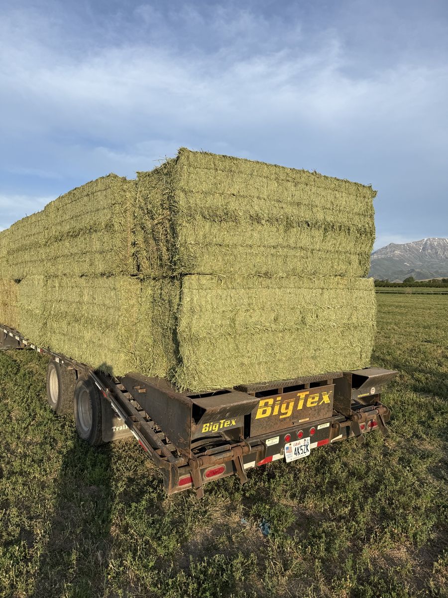 3/3/8 850# premium alfalfa hay