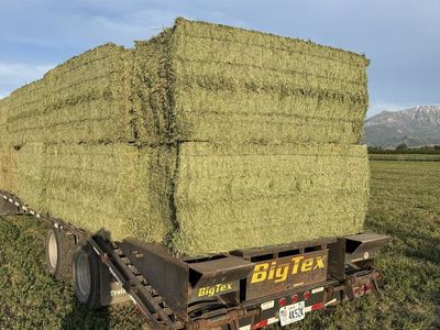 3/3/8 850# premium alfalfa hay