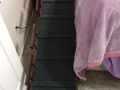 Dog stairs