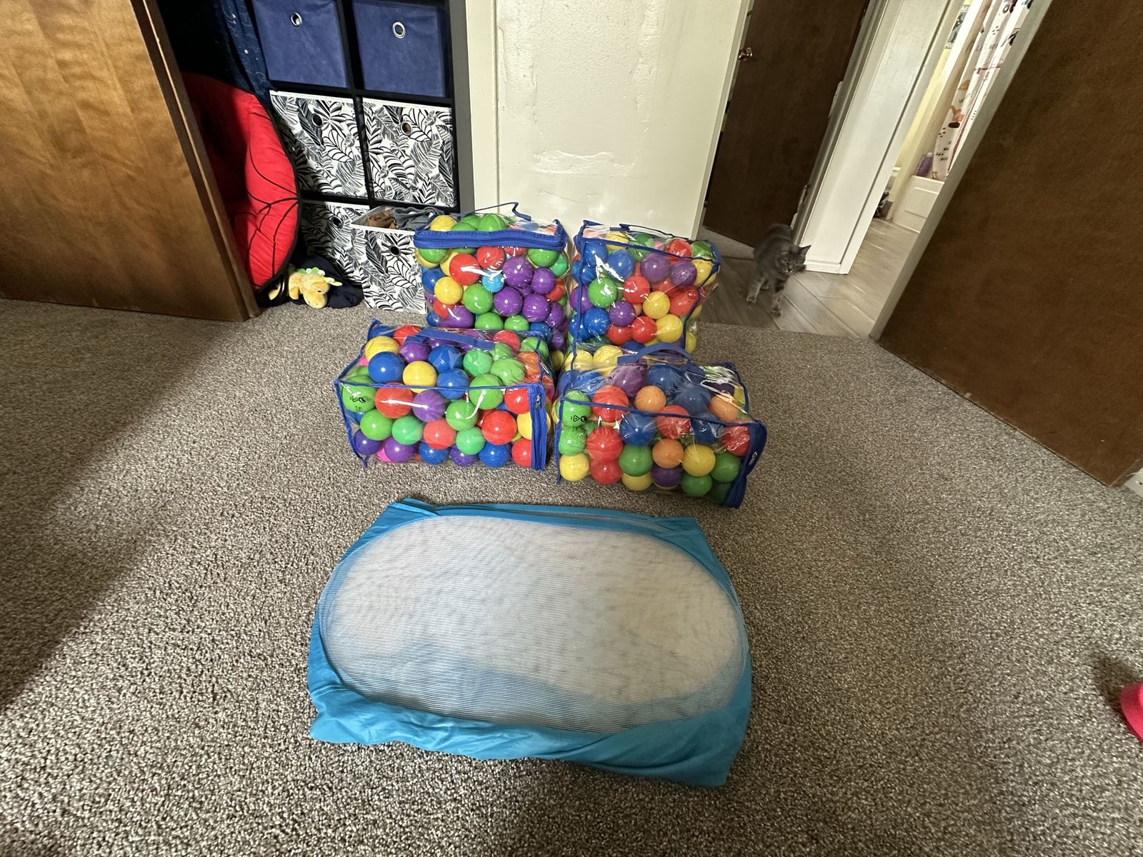 Ball pit with balls include