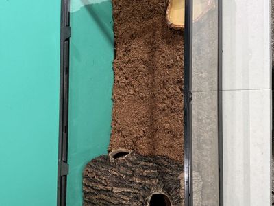Reptile Enclosure and Supplies