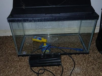 10 gallon tank with extras