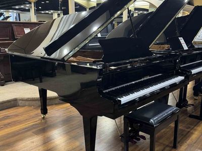 GORGEOUS NEW GRAND PIANO