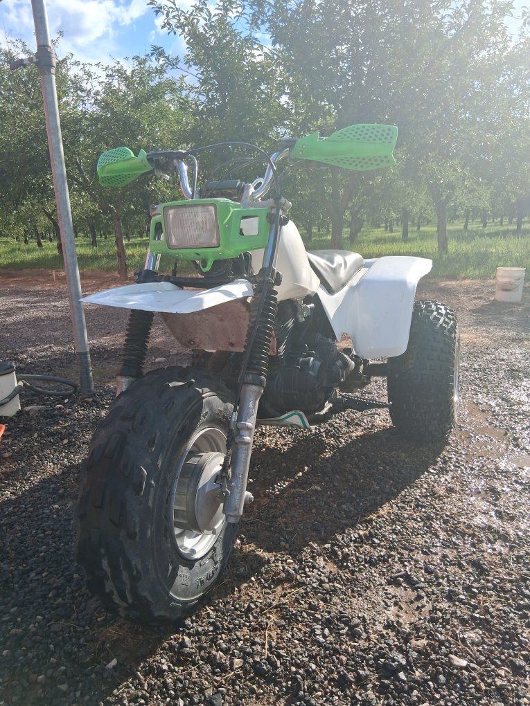 1985 honda atc 250sx (death triangle)