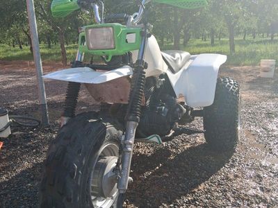 1985 honda atc 250sx (death triangle)