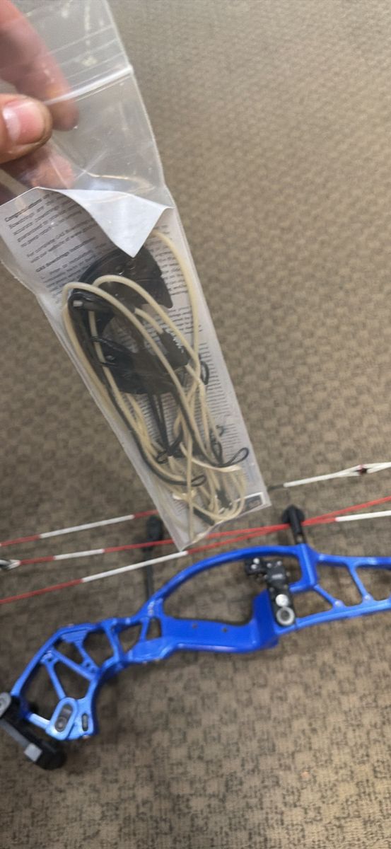 Hoyt concept FX