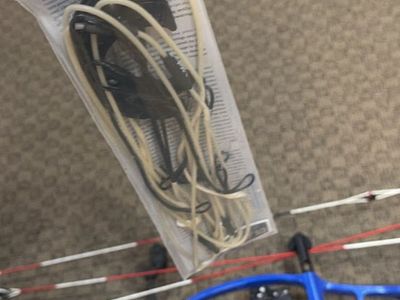 Hoyt concept FX