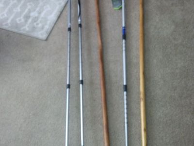 Walking sticks