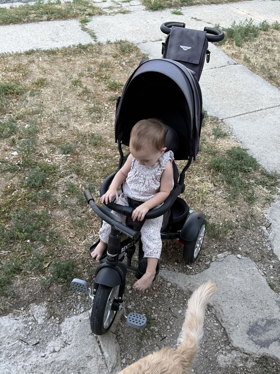 Bentley Brand Trike