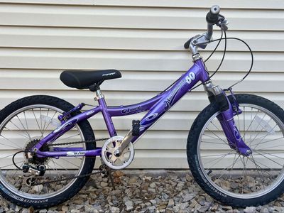 20” Trek 6 speed mountain bike
