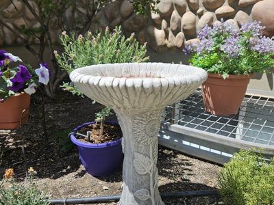 Decorative Concrete Bird Bath with Sunflower & Leaf Design - Garden Decor