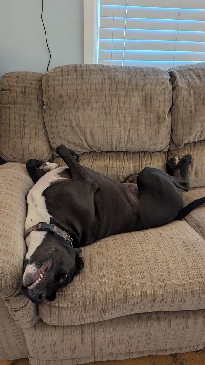LAB MIX