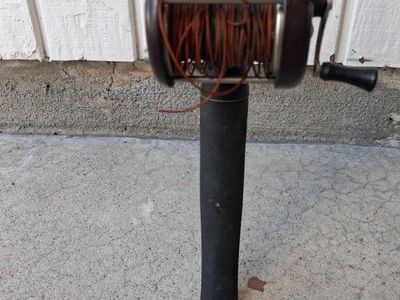 Eagle Claw Fishing Rod with Vintage Conventional Reel Combo