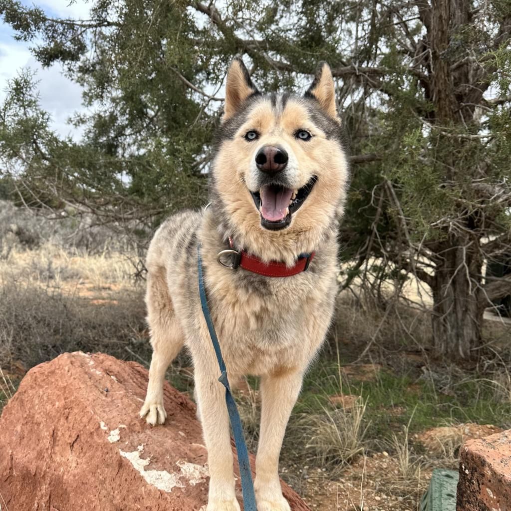 Hello my name is Hilo