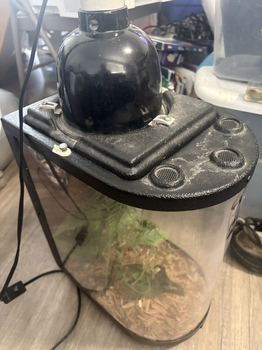 EXO TERRA Glass Reptile Tank