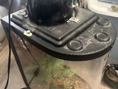 EXO TERRA Glass Reptile Tank