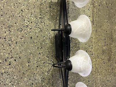 Four-Light Bathroom Vanity Light Fixture with Black Finish and Frosted Glass Shades