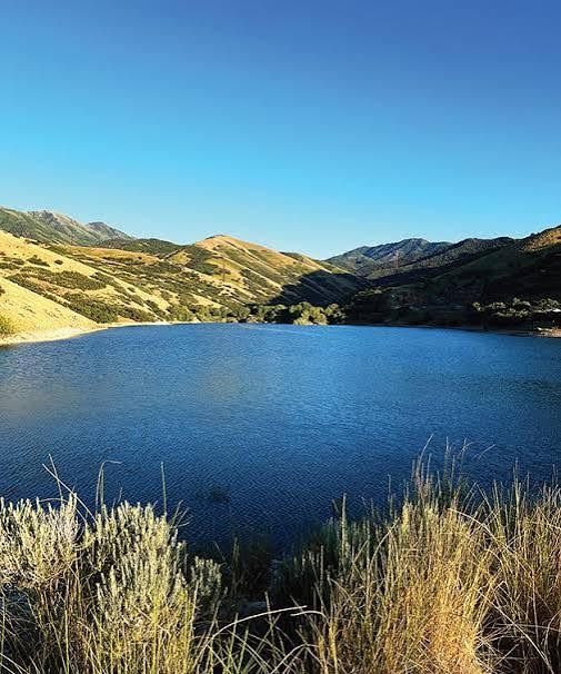 Settlement Canyon Irrigation Co.  Stock for sale.  A Tooele City irrigation company.