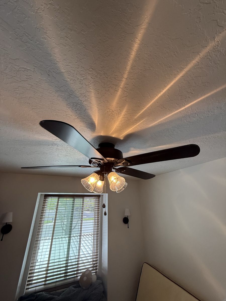 Black ceiling fan
