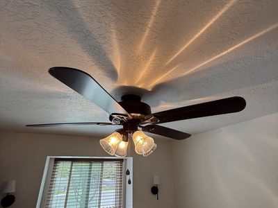 Black ceiling fan
