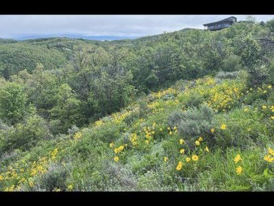 Huntsville. Utah 3.02 acre VIEW lot. 6000 Old Snowbasin Rd.